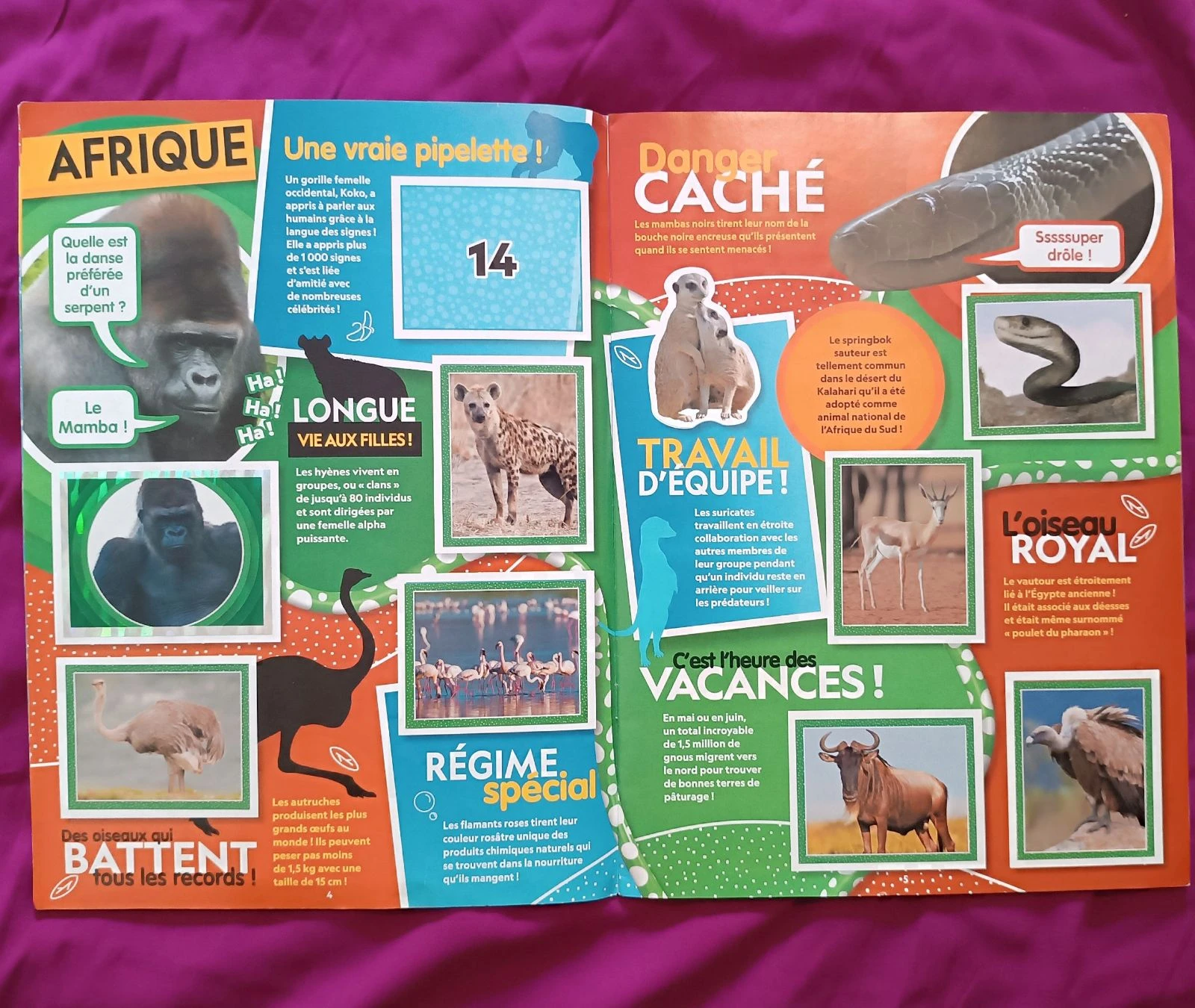 National Geographic Kids Animals Topps – photo 3
